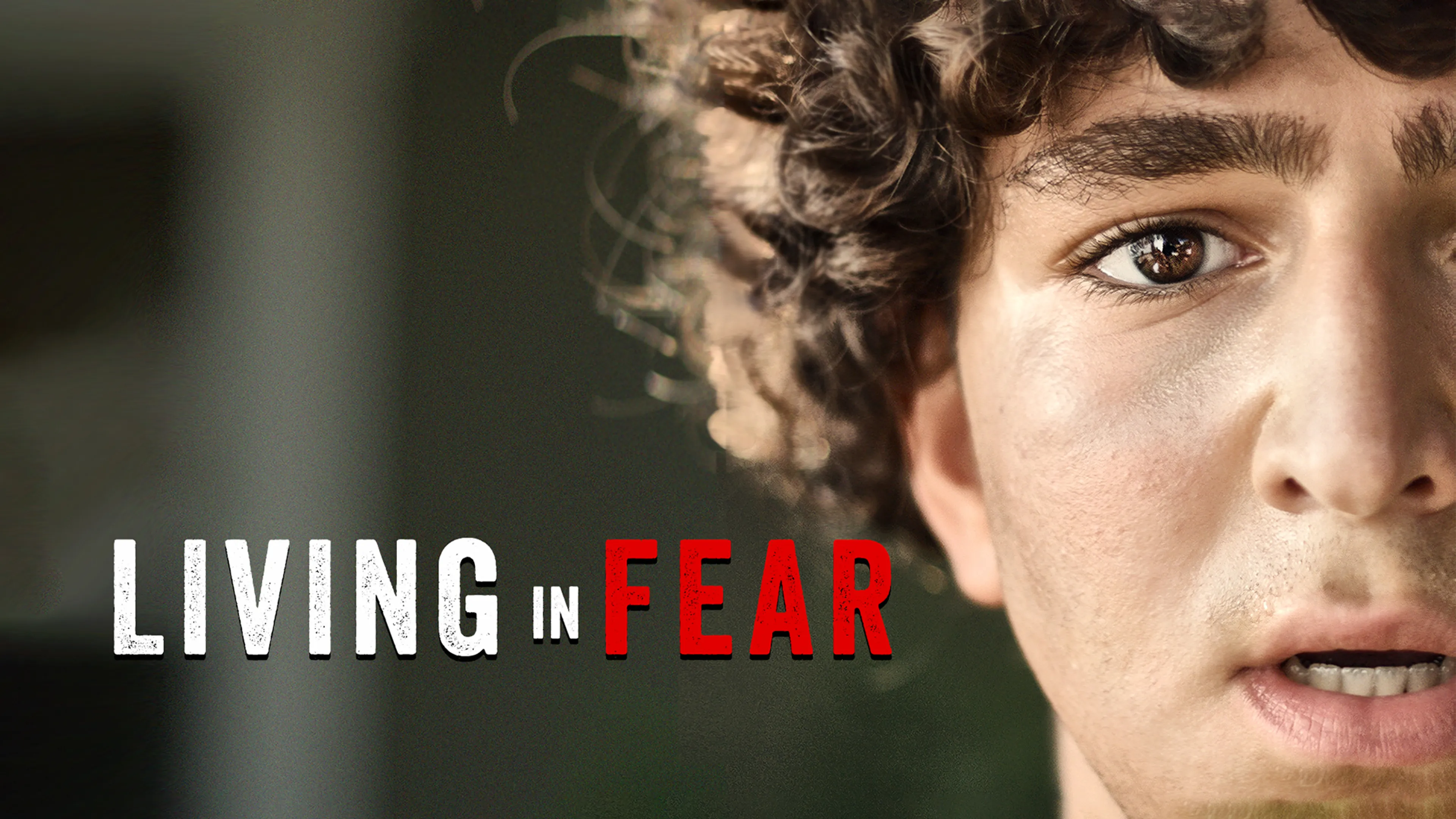 Living in Fear poster
